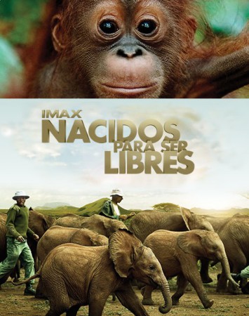 NACIDOS PARA SER LIBRES